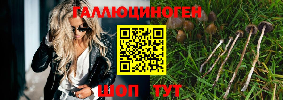 Шахты  Псилоцибиновые грибы Cubensis  Вход с VPN 